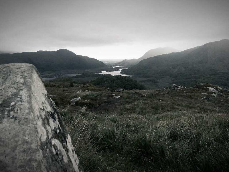 Mengapa Investor Asing Mengandalkan Konsultan Lokal untuk Mengembangkan Proyek di Indonesia?